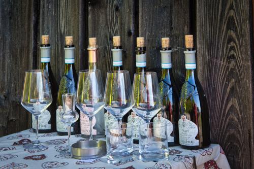 Franciaország borai és a francia bor története